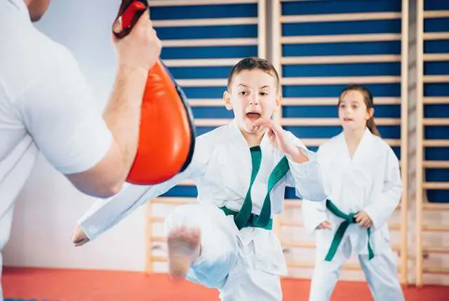 Kids Martial Arts Classes Near Me in Kirkland | Elite Martial Arts